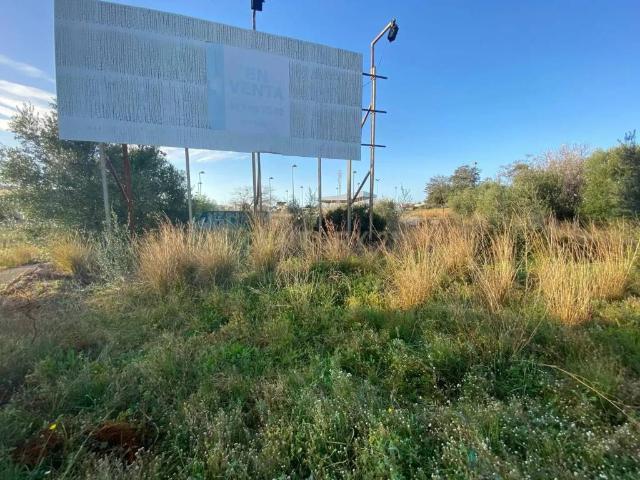 Terreno en venta en Alcanar, Tarragona