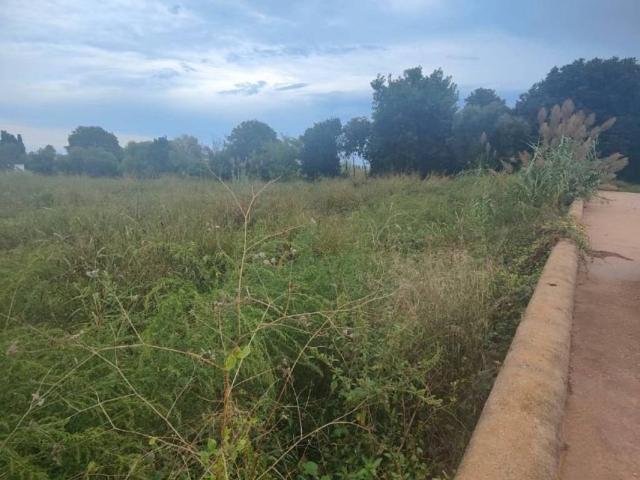 Terreno en venta en Alcanar, Tarragona