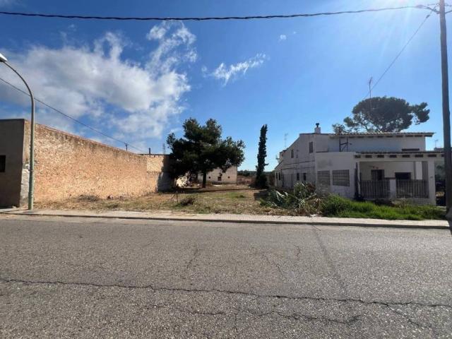 Terreno en venta en les Cases d'Alcanar, Montsià