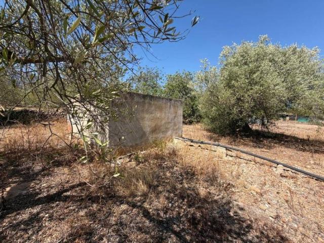 Terreno en venta en Montsià, Catalunya