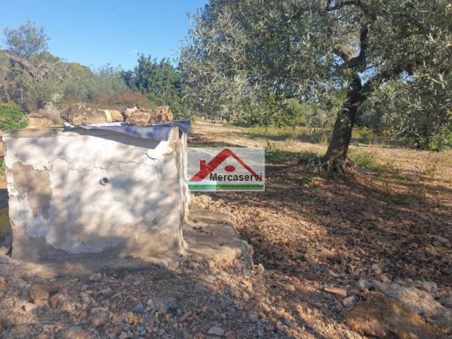 Terreno en venta en Alcanar, Tarragona