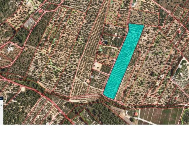 Terreno en venta en Alcanar, Tarragona