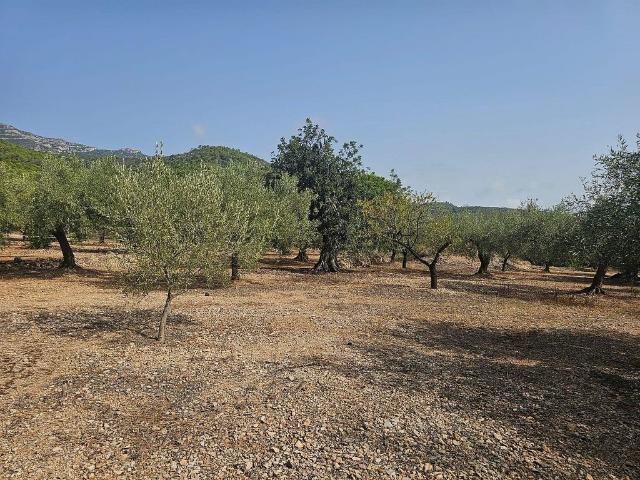 Terreno en venta en Montsià, Catalunya