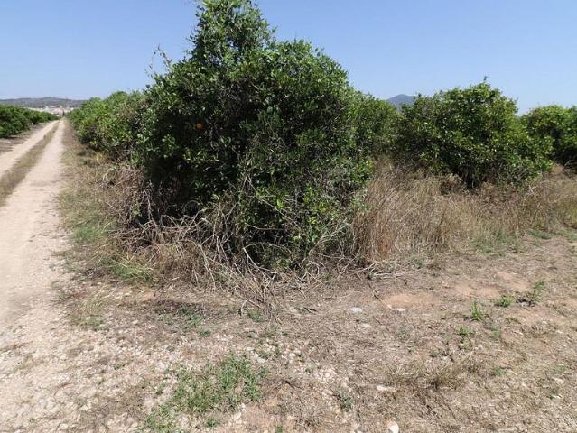 Terreno en venta en Montsià, Catalunya