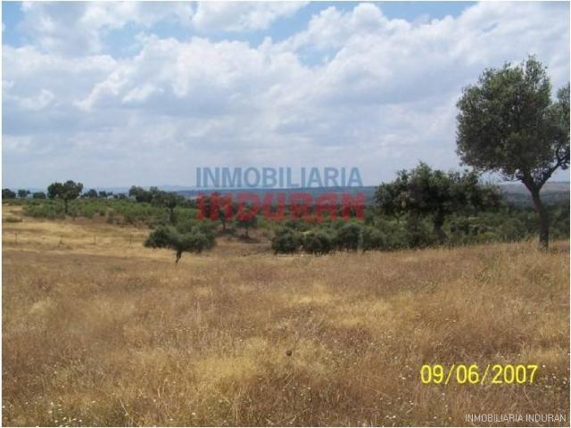 Terreno en venta en Alcántara Terreno en venta en Alcántara