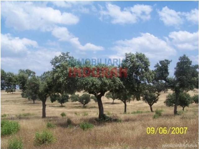 Terreno en venta en Alcántara, Extremadura