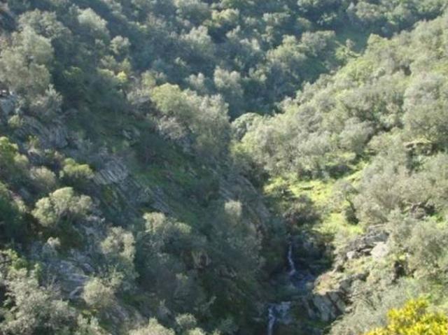 Terreno en venta en Alcántara, Extremadura