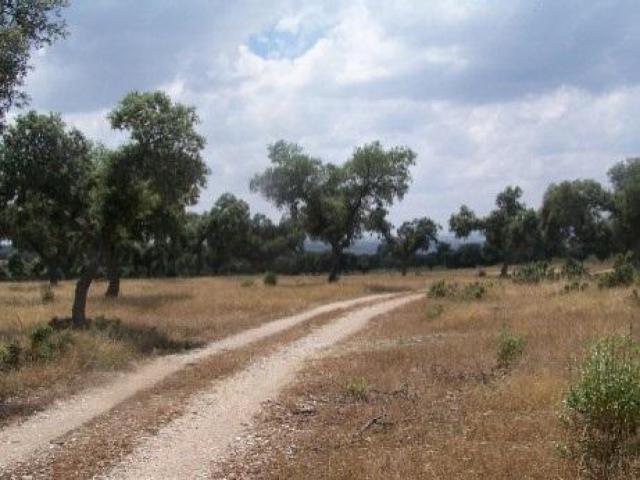 Terreno en venta en Alcántara, Extremadura