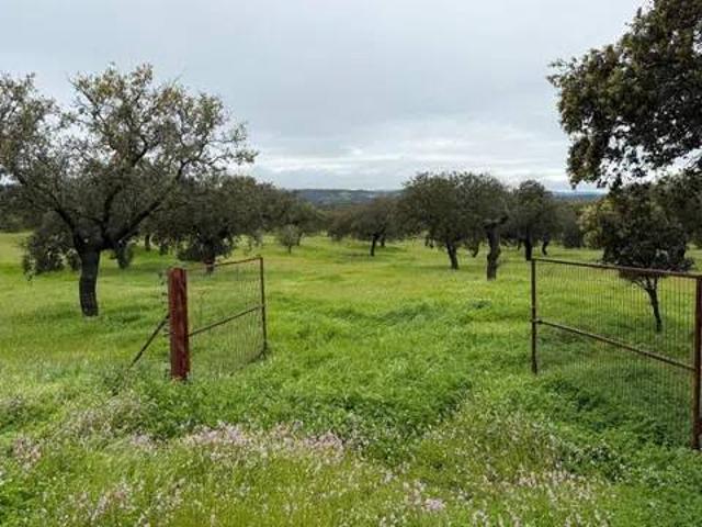 Terreno en venta en Alcaracejos, Andalucía