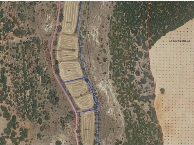 Terreno en venta en Alcaraz, Castilla-La Mancha