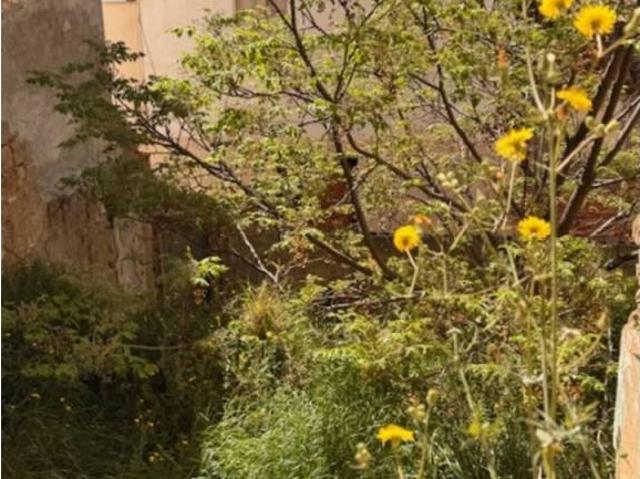 Terreno en venta en Segrià, Catalunya