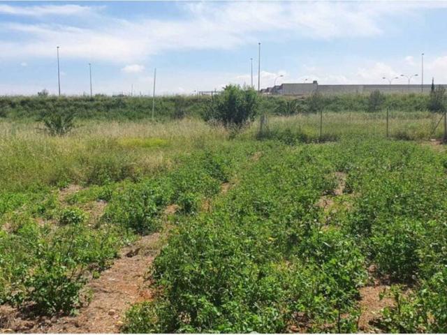 Terreno en venta en l'Horta Sud, Valencia