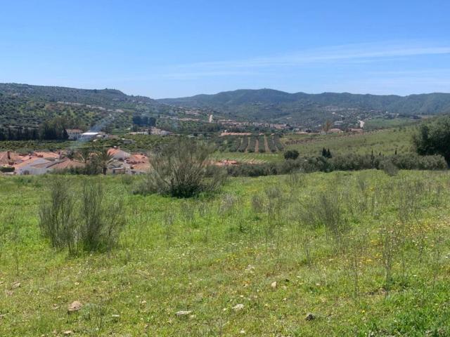 Terreno en venta en Alcaucín