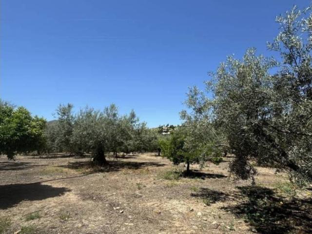 Terreno en venta en Puente de Salia, La Axarquía