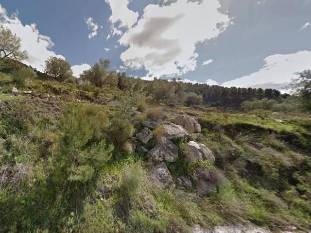 Terreno en venta en Alcaucín