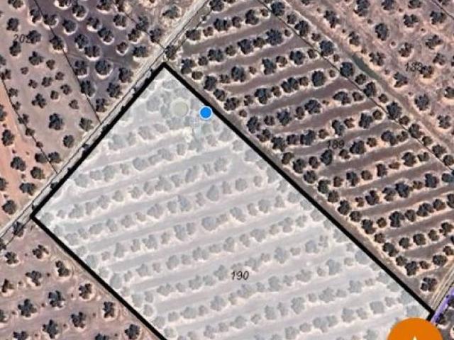 Terreno en venta en Alcaudete, Andalucía