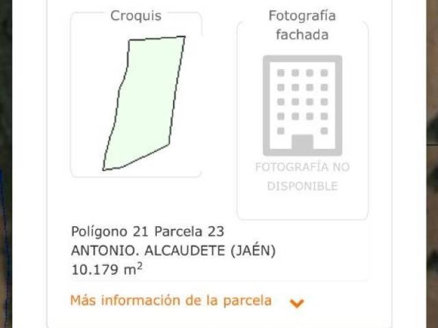 Terreno en venta en Alcaudete, Andalucía