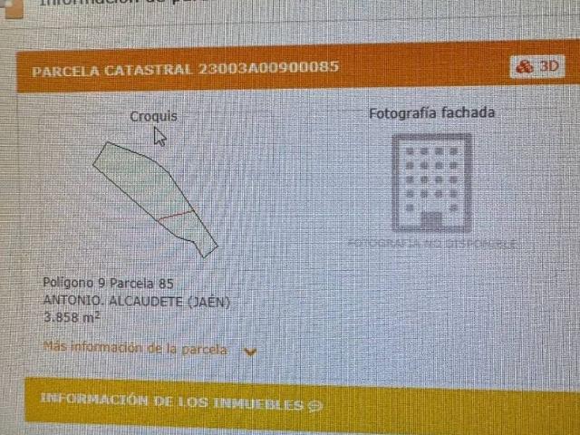 Terreno en venta en Alcaudete, Andalucía