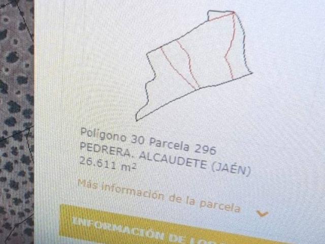 Terreno en venta en Alcaudete, Andalucía