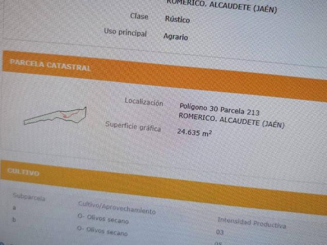 Terreno en venta en Alcaudete, Andalucía