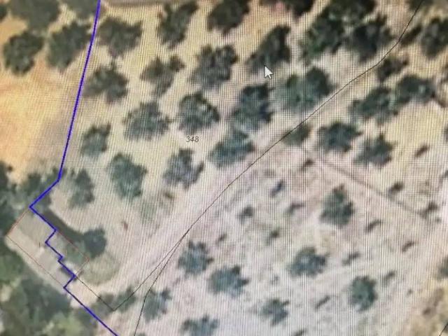 Terreno en venta en Alcaudete, Andalucía