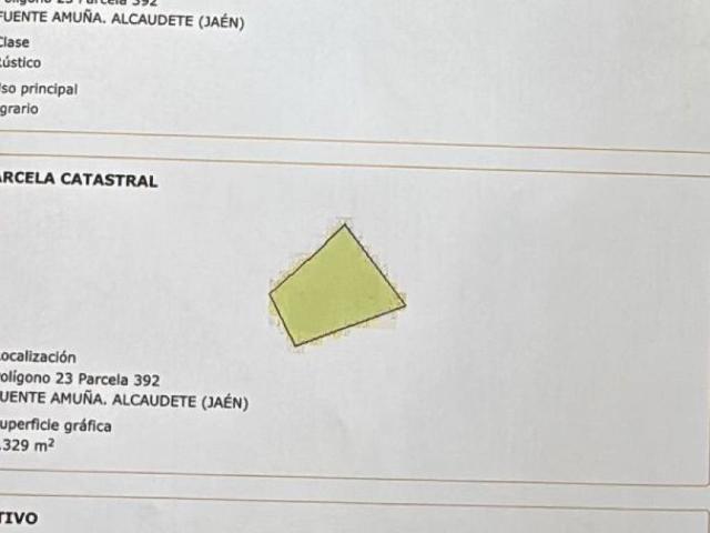 Terreno en venta en Alcaudete, Andalucía