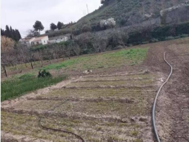 Terreno en venta en Alcaudete, Andalucía