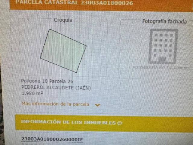 Terreno en venta en Alcaudete, Andalucía