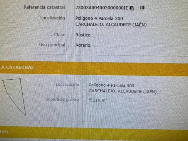 Terreno en venta en Alcaudete, Andalucía