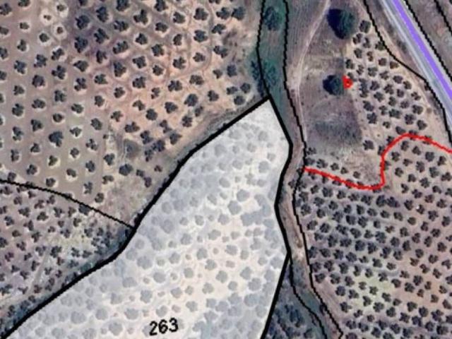 Terreno en venta en Alcaudete, Andalucía