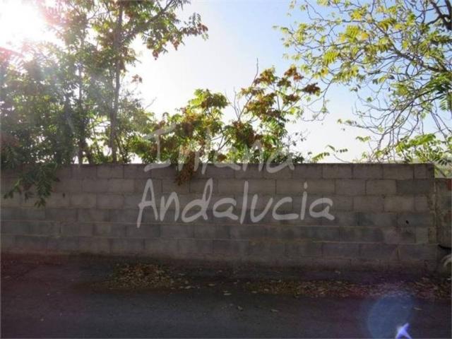 Terreno en venta en Alcaudete, Andalucía