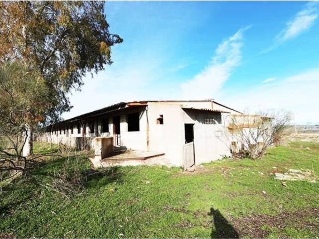 Terreno en venta en Alcaudete de la Jara, Toledo
