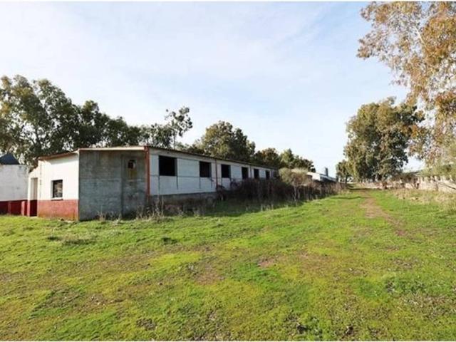 Terreno en venta en Alcaudete De La Jara, Castilla-La Mancha