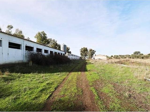 Terreno en venta en Alcaudete De La Jara, Castilla-La Mancha