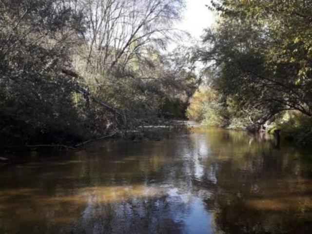 Terreno en venta en Alcazarén, Castilla y León