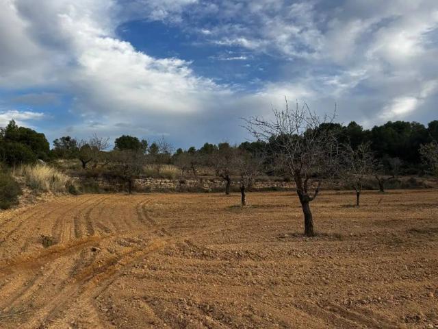 Terreno en venta en Bajo Aragón, Aragón