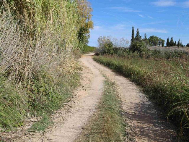 Terreno en venta en Bajo Aragón, Aragón