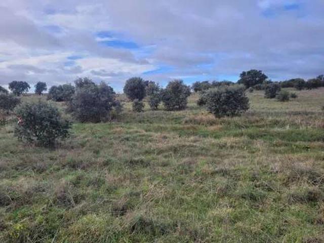 Terreno en venta en Alcañizo, Castilla-La Mancha