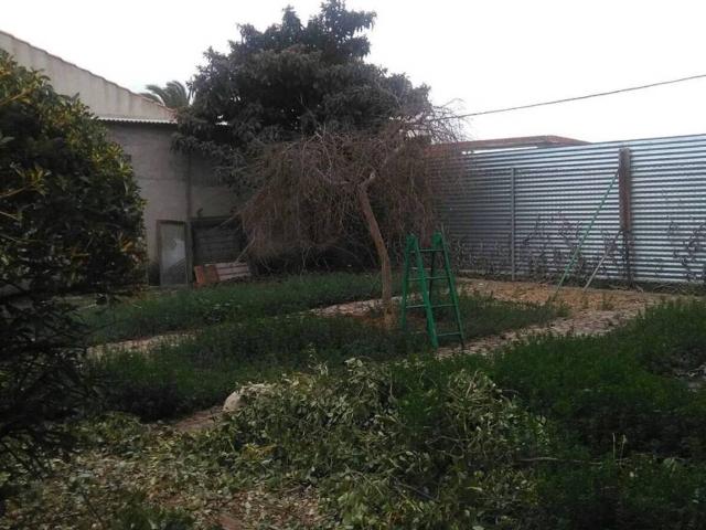 Terreno en venta en Alcolea De Calatrava, Castilla-La Mancha