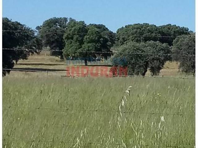 Terreno en venta en Alcolea De Tajo, Castilla-La Mancha