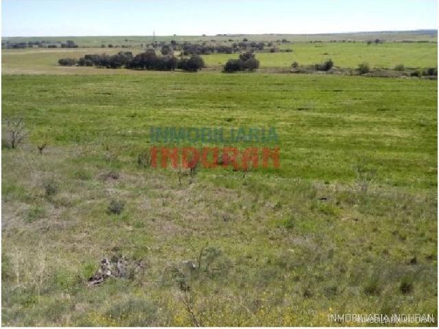 Terreno en venta en Alcolea De Tajo, Castilla-La Mancha