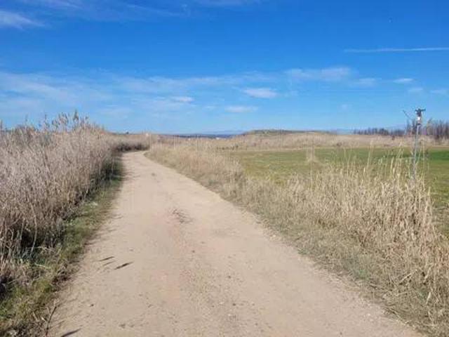 Terreno en venta en Alcolea De Tajo, Castilla-La Mancha