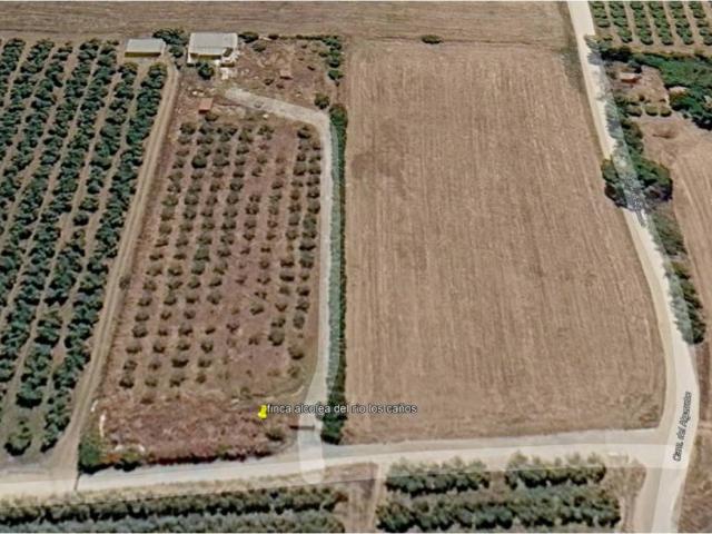 Terreno en venta en Alcolea Del Río, Andalucía