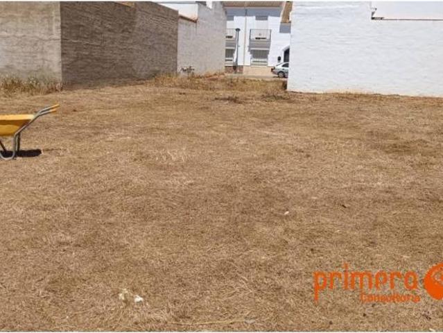 Terreno en venta en Alcolea Del Río, Andalucía