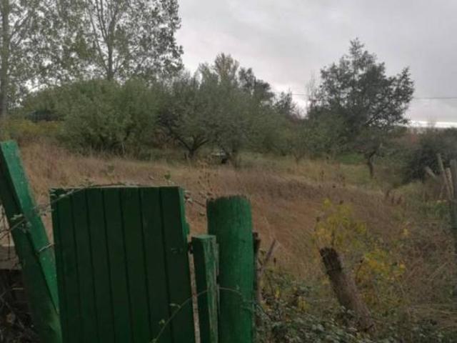 Terreno en venta en Alconaba, Castilla y León