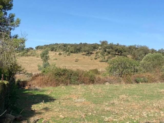 Terreno en venta en Llanos de Olivenza, Extremadura