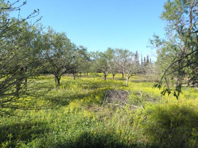Terreno en venta en Alt Camp, Catalunya