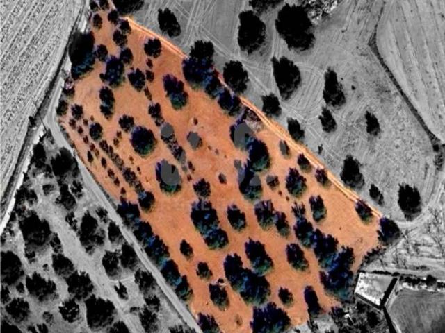 Terreno en venta en Alt Camp, Catalunya