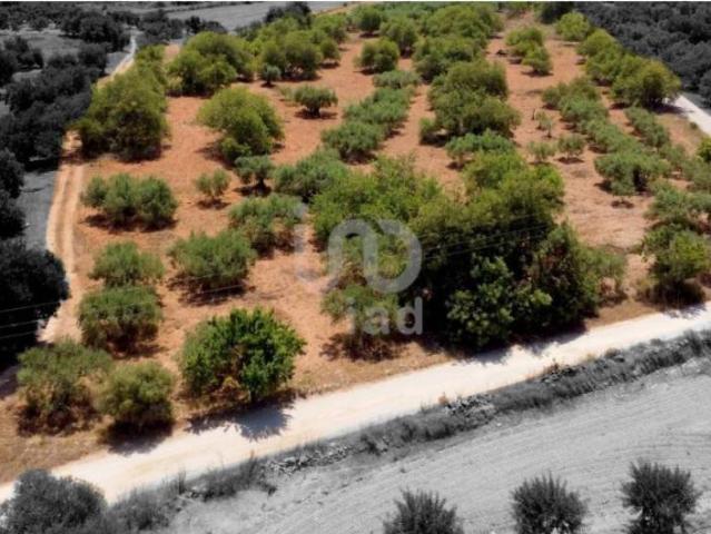 Terreno en venta en Alcover