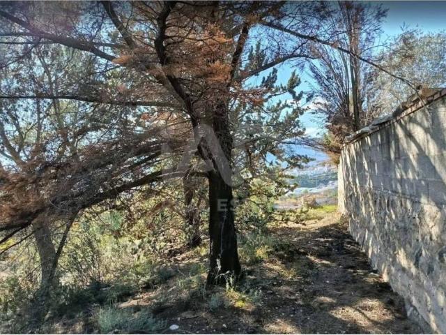 Terreno en venta en l'Alcoià, Valencia